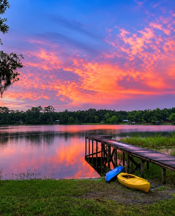Water's Edge